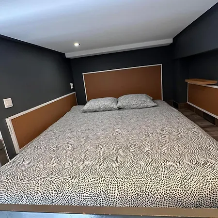 Golebia-genius Apartment Poznan